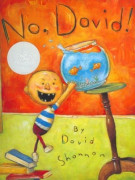 Scholastic Storybook SS / No David (caldecott)