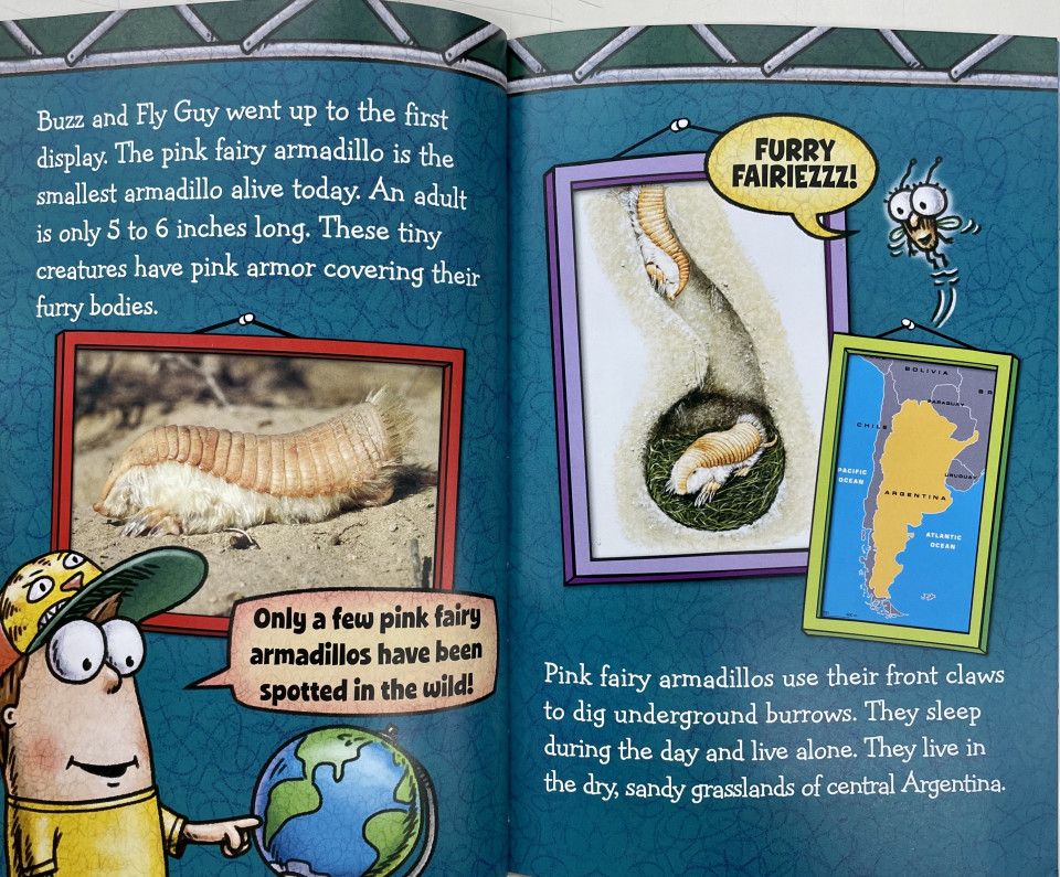 Scholastic Reader Level 2 / Fly Guy Presents: Weird Animals