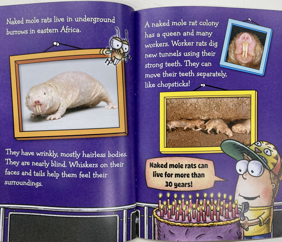 Scholastic Reader Level 2 / Fly Guy Presents: Weird Animals